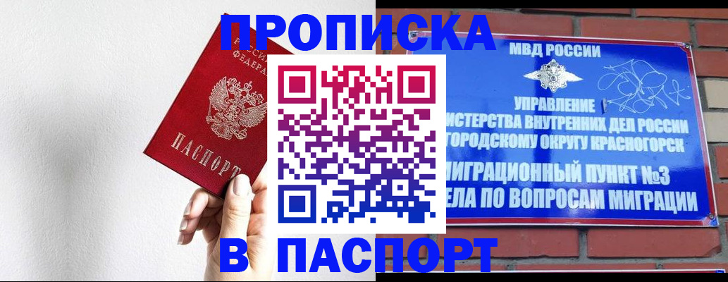 временная регистрация госуслуги в Щёлково